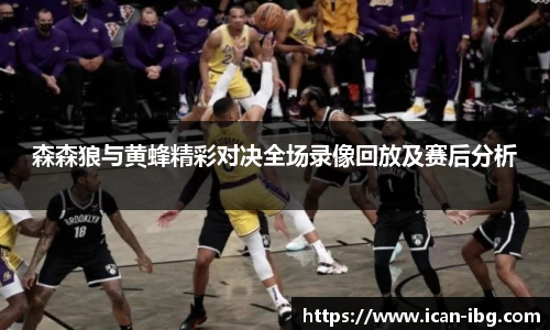 森森狼与黄蜂精彩对决全场录像回放及赛后分析
